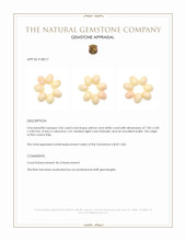 5.06 Ct. Cabochon Coral from Italy Appraisal