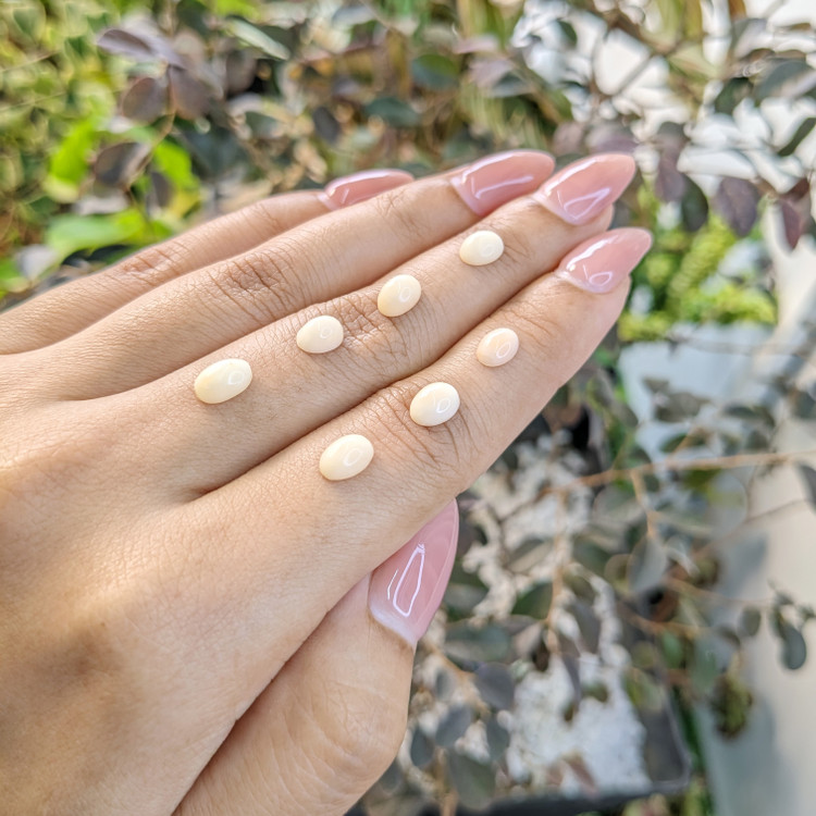 5.60 Ct. Cabochon Coral from Italy