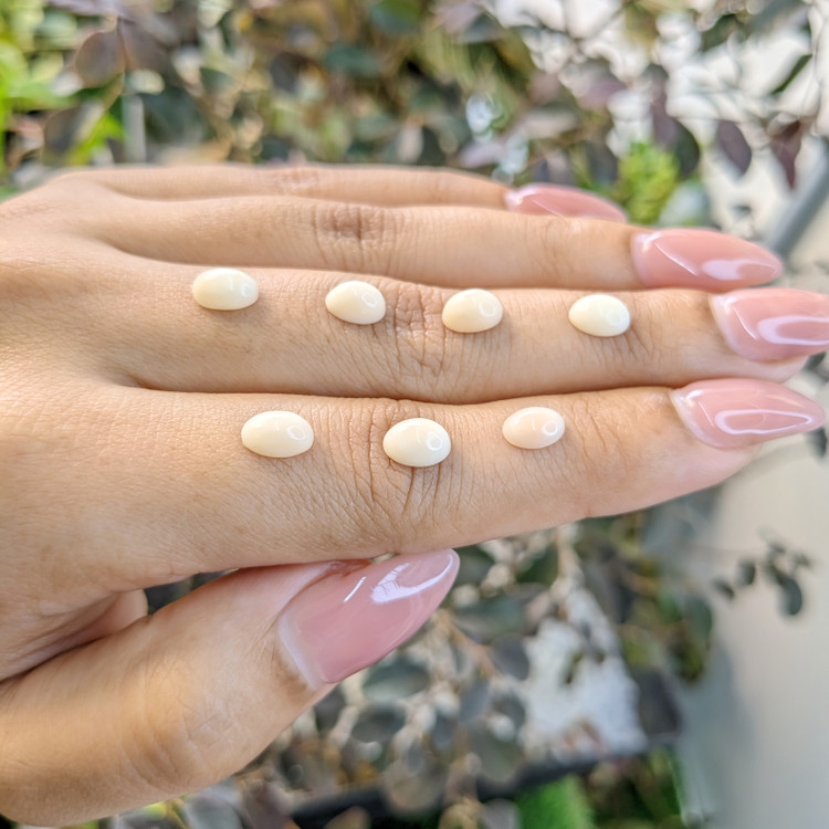 5.60 Ct. Cabochon Coral from Italy