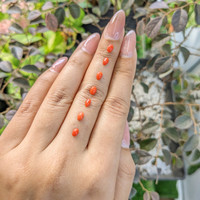 141.75 Ct. Cabochon Coral from Italy Life Style