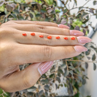 141.75 Ct. Cabochon Coral from Italy Life Style