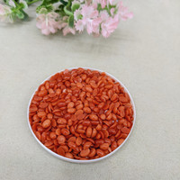 141.75 Ct. Cabochon Coral from Italy Life Style