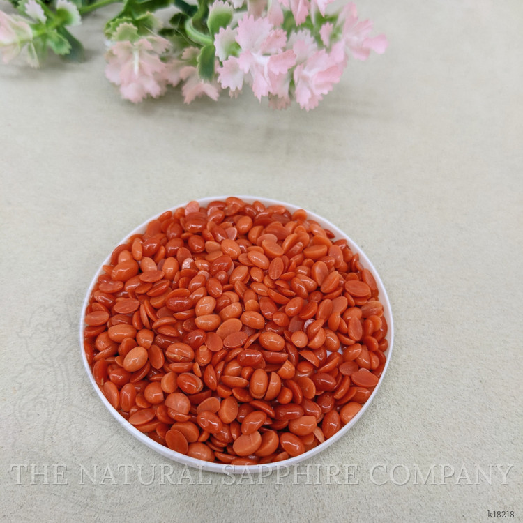 141.75 Ct. Cabochon Coral from Italy