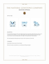 3.28 Ct. Blue Aquamarine from Mozambique Appraisal