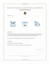 3.28 Ct. Aquamarine from Mozambique Appraisal