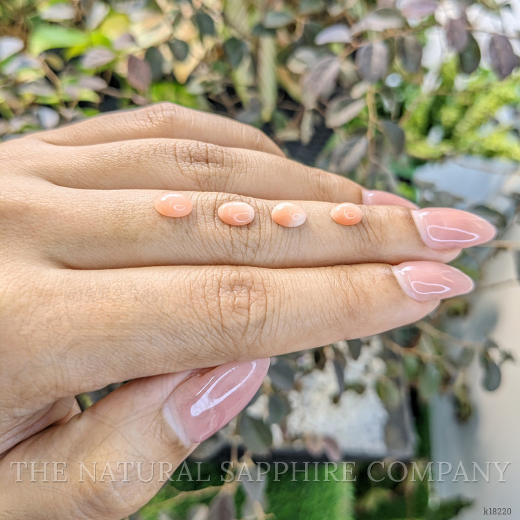 2.36 Ct. Cabochon Coral from Italy