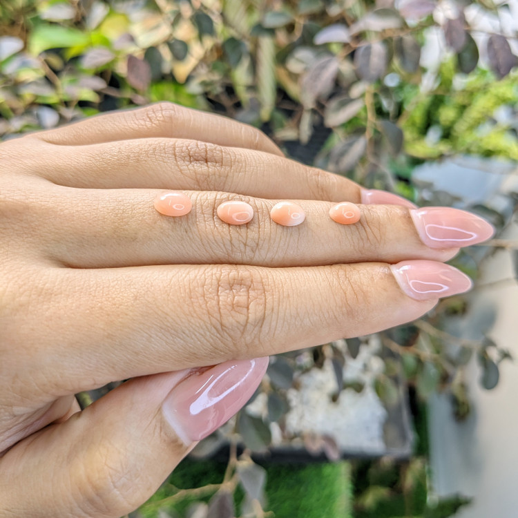 2.36 Ct. Cabochon Coral from Italy