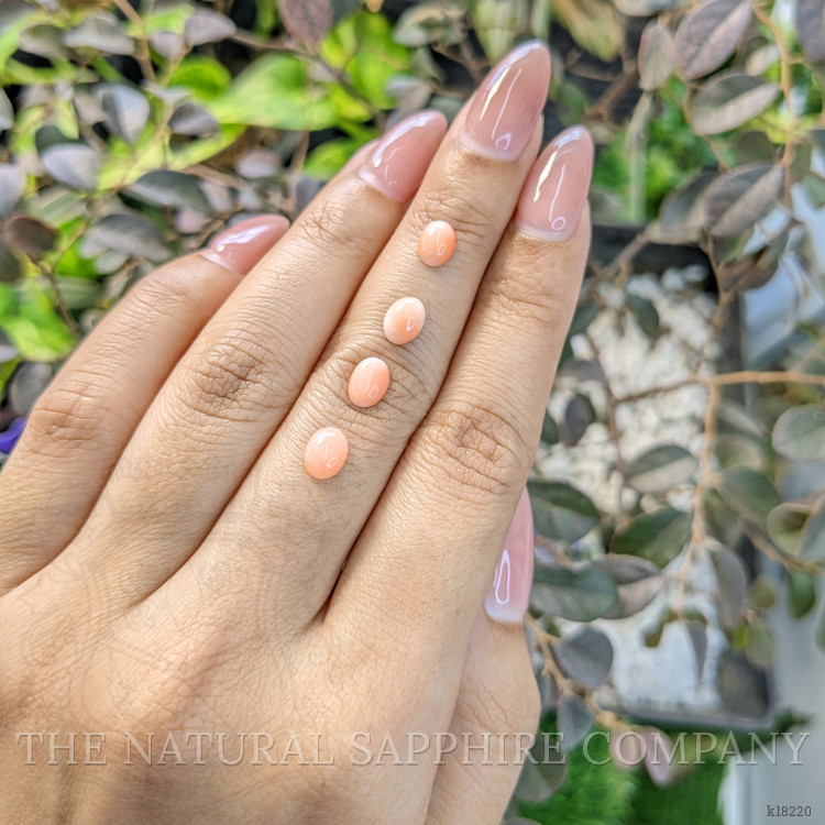 2.36 Ct. Cabochon Coral from Italy