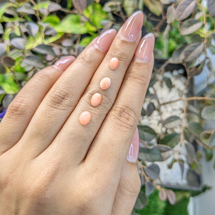 2.36 Ct. Cabochon Coral from Italy