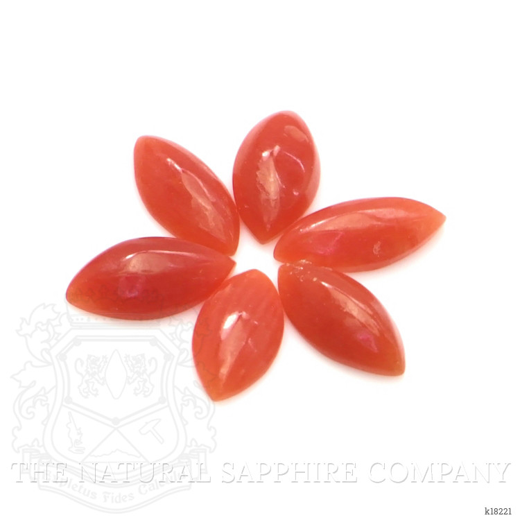 3.37 Ct. Cabochon Coral from Italy