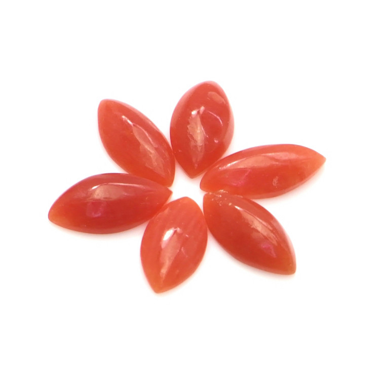 3.37 Ct. Cabochon Coral from Italy