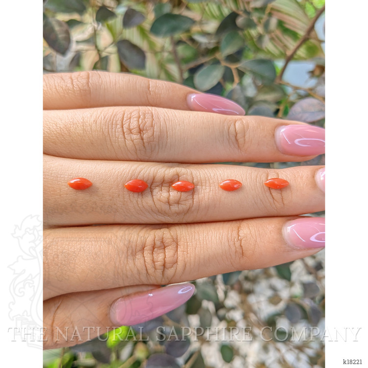 3.37 Ct. Cabochon Coral from Italy