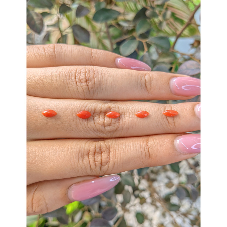 3.37 Ct. Cabochon Coral from Italy