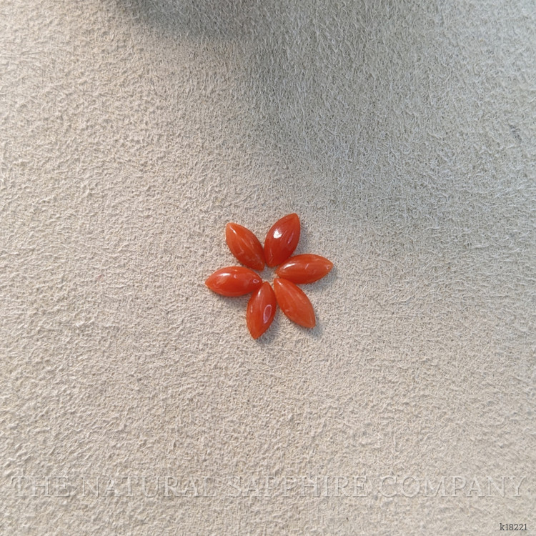 3.37 Ct. Cabochon Coral from Italy