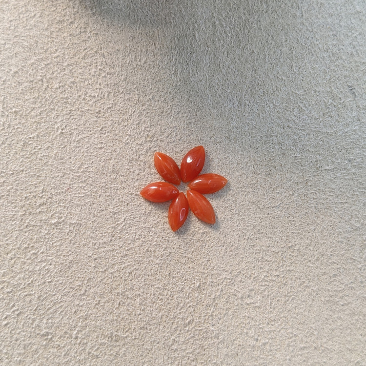 3.37 Ct. Cabochon Coral from Italy