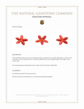 4.46 Ct. Cabochon Coral from Italy Appraisal