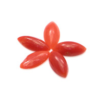 4.46 Ct. Cabochon Coral from Italy Video