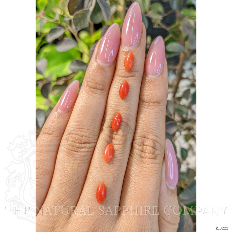 4.46 Ct. Cabochon Coral from Italy