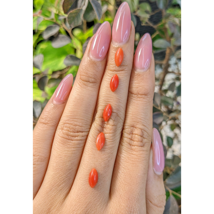 4.46 Ct. Cabochon Coral from Italy