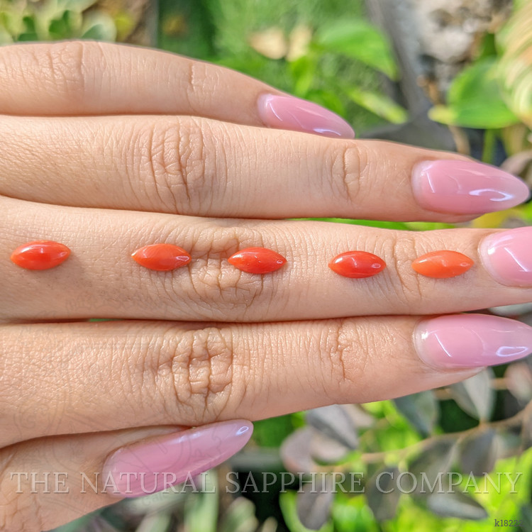 4.46 Ct. Cabochon Coral from Italy