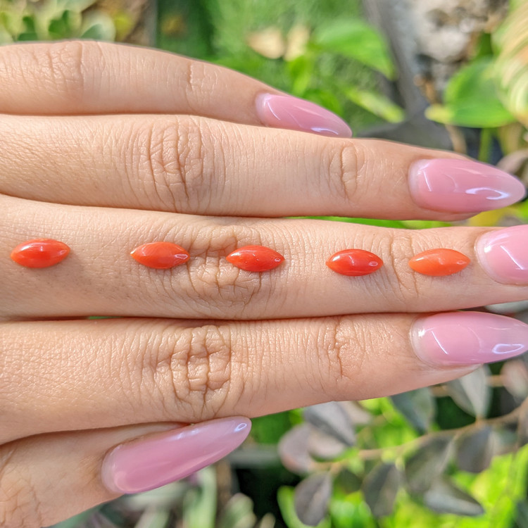 4.46 Ct. Cabochon Coral from Italy