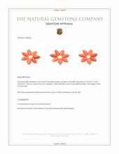 4.20 Ct. Cabochon Coral from Italy Appraisal