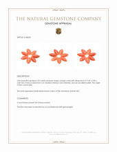 4.20 Ct. Cabochon Coral from Italy Appraisal