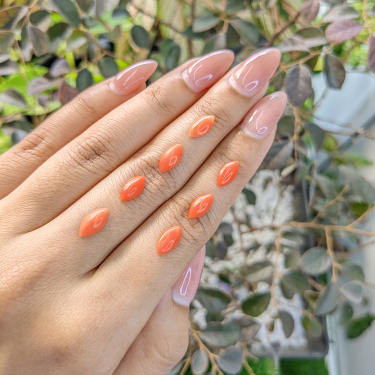 4.20 Ct. Cabochon Coral from Italy