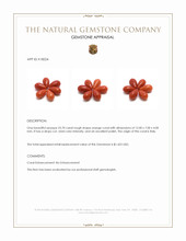 23.70 Ct. Coral from Italy Appraisal