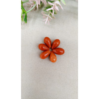 23.70 Ct. Coral from Italy Life Style