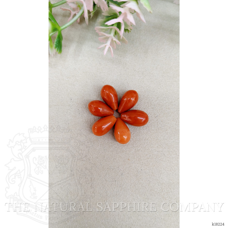 23.70 Ct. Coral from Italy