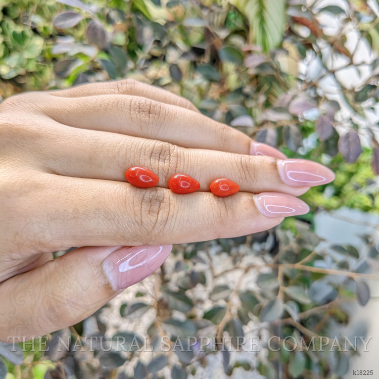 6.40 Ct. Coral from Italy
