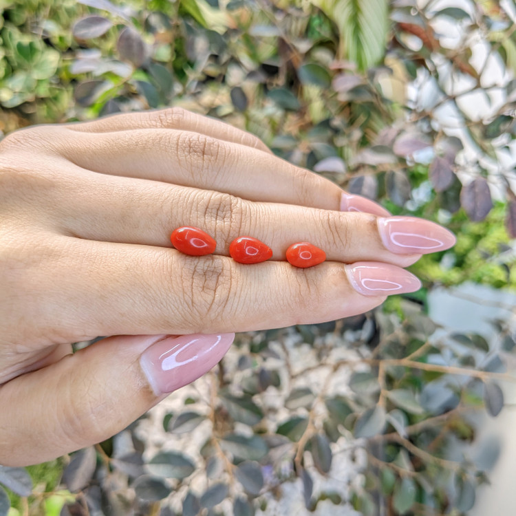 6.40 Ct. Coral from Italy
