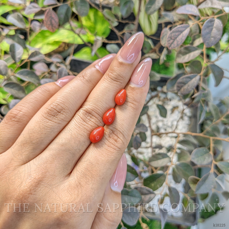 6.40 Ct. Coral from Italy