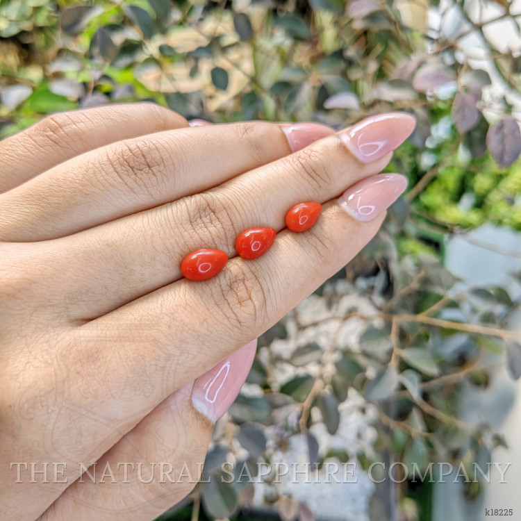 6.40 Ct. Coral from Italy