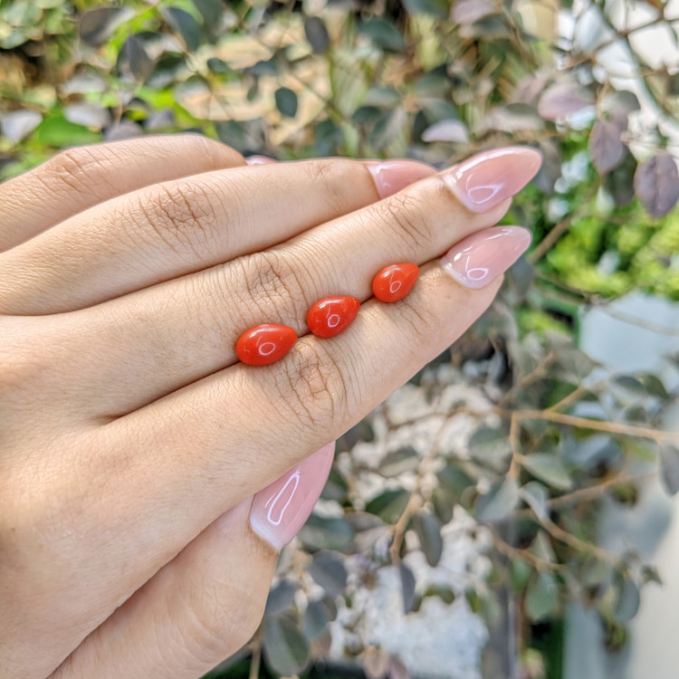 6.40 Ct. Coral from Italy