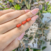 5.54 Ct. Coral from Italy Life Style