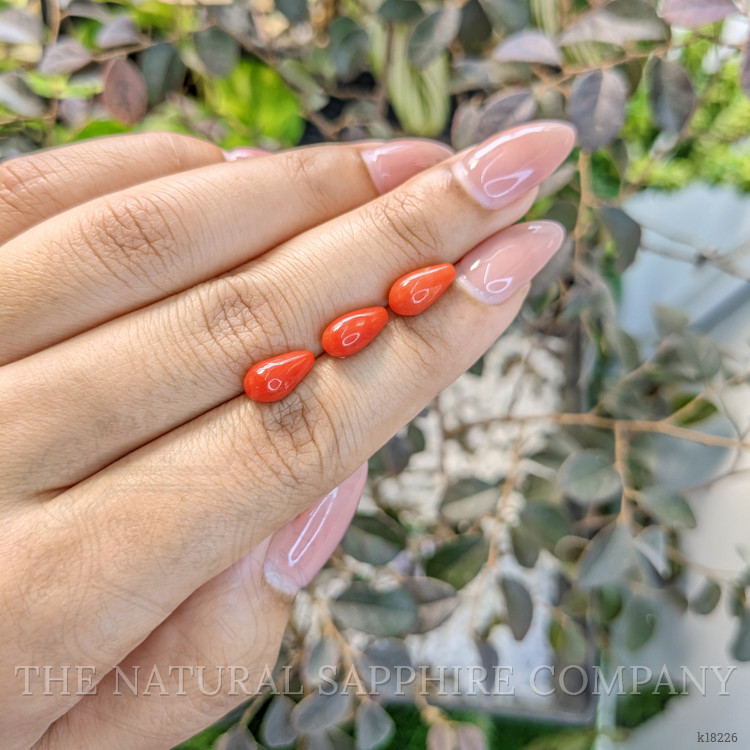 5.54 Ct. Coral from Italy