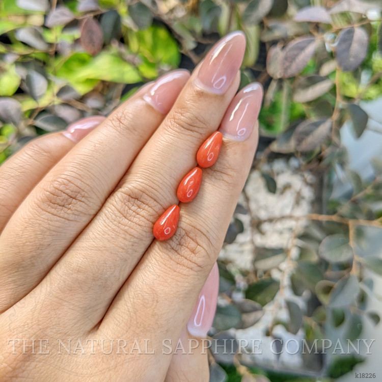 5.54 Ct. Coral from Italy