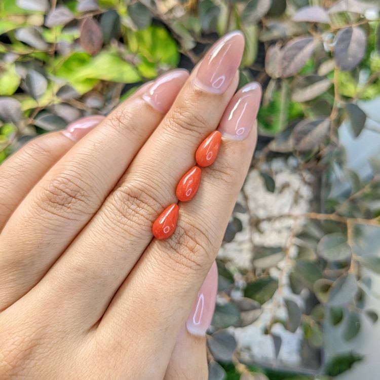 5.54 Ct. Coral from Italy