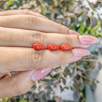 5.54 Ct. Coral from Italy Life Style