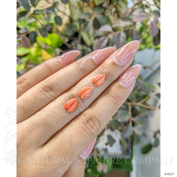 2.42 Ct. Coral from Italy