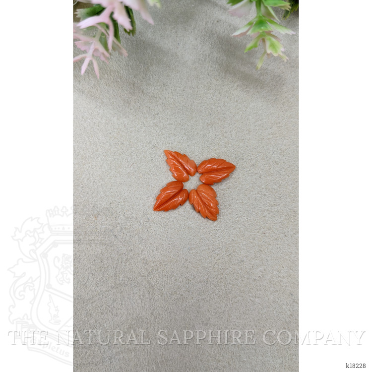 3.97 Ct. Coral from Italy