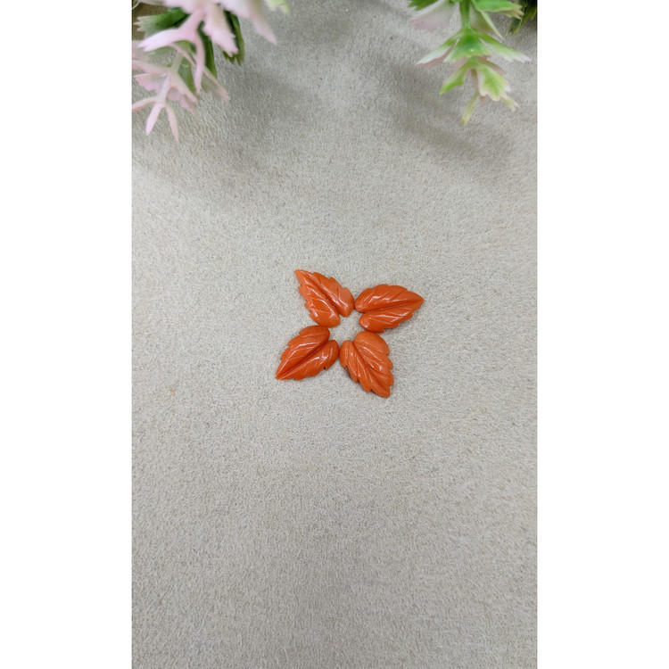 3.97 Ct. Coral from Italy