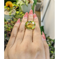 26.20 Ct. Quartz from Madagascar Life Style