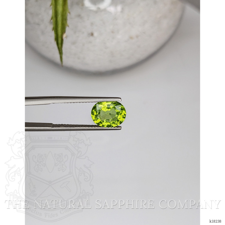2.78 Ct. Peridot from Pakistan