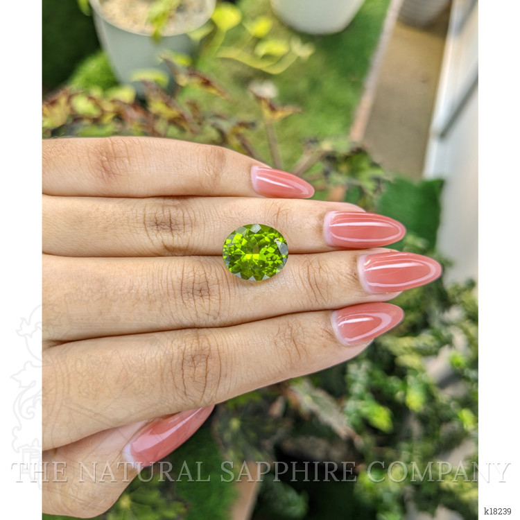 9.61 Ct. Peridot from Pakistan
