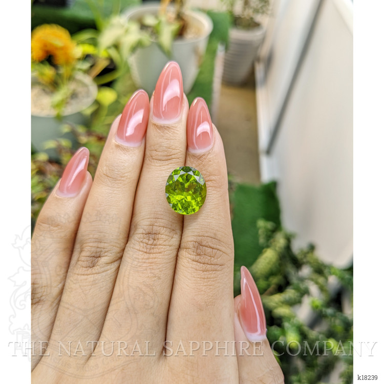 9.61 Ct. Peridot from Pakistan