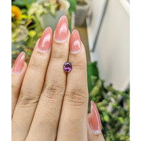 1.32 Ct. Spinel from Ceylon (Sri Lanka) Life Style