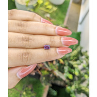 1.12 Ct. Spinel from Ceylon (Sri Lanka) Life Style